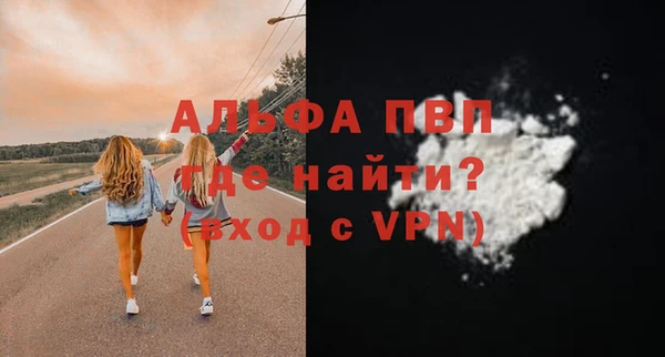гашик Арсеньев