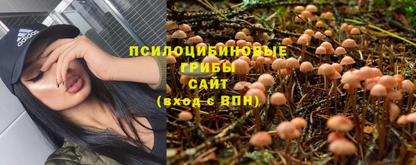 гашик Арсеньев