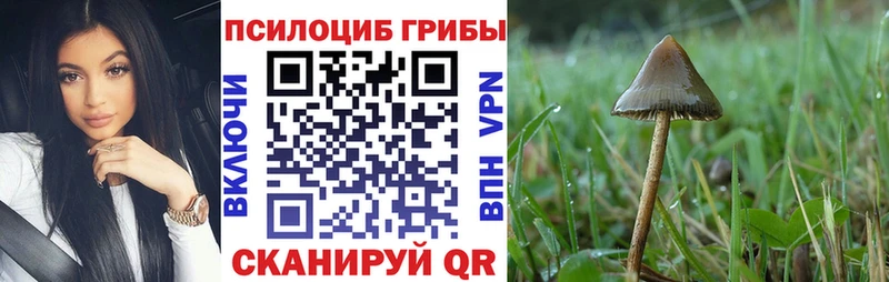 Псилоцибиновые грибы мухоморы  MEGA зеркало  Партизанск 